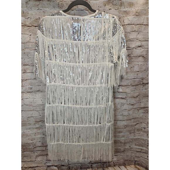 Pretty Guide Sequins Silver Dress With Fringes Short Sleeve Size 12 - Picture 3 of 4